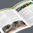 Revista El Manzanillo - Manzanilla Olive