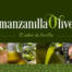 Manzanilla Olive - El sabor de Sevilla