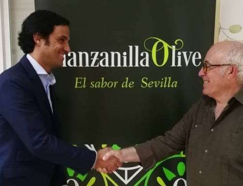 Manzanilla Olive crece con sus miras puestas en el Aljarafe