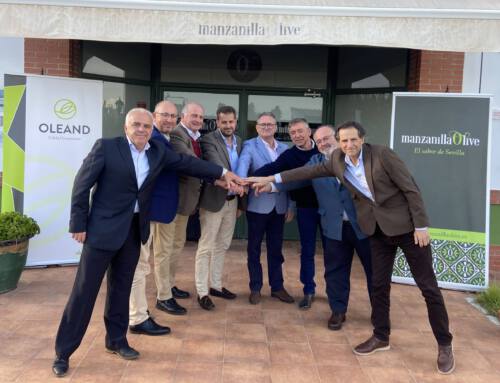 OLEAND y MANZANILLA OLIVE aprueban su fusión y se convierten en la mayor cooperativa de aceituna de mesa de Andalucía
